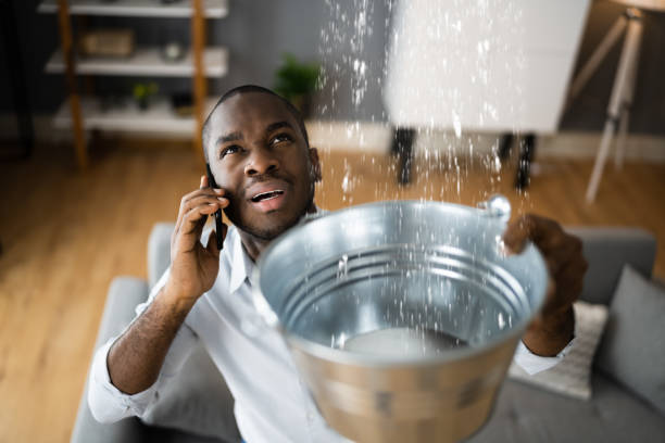 Best Professional water damage repair  in Hardwick, GA