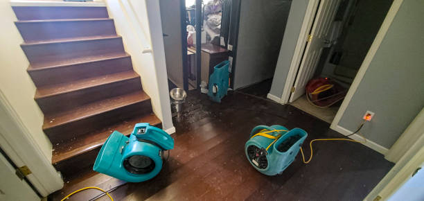 Best Local water damage restoration  in Hardwick, GA