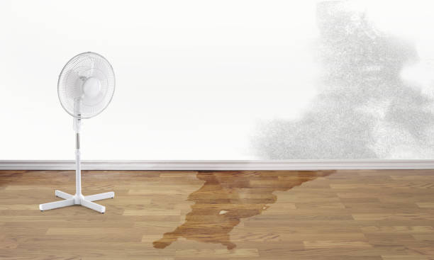 Best 24-hour water damage restoration  in Hardwick, GA