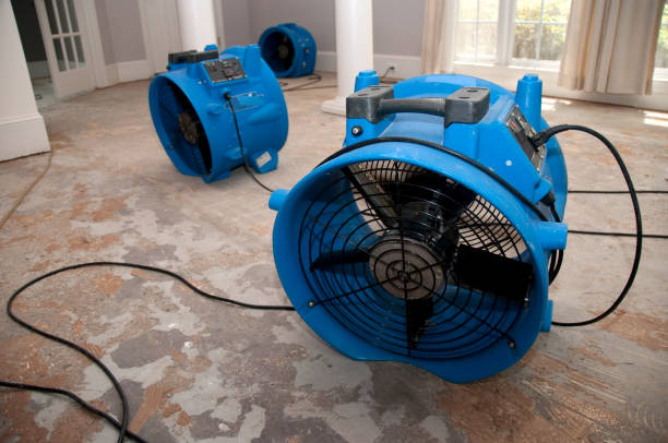 Best Local water damage restoration  in Hardwick, GA