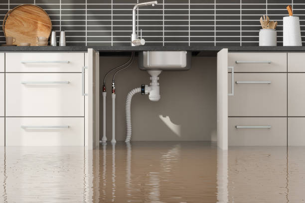 Best Local water damage restoration  in Hardwick, GA